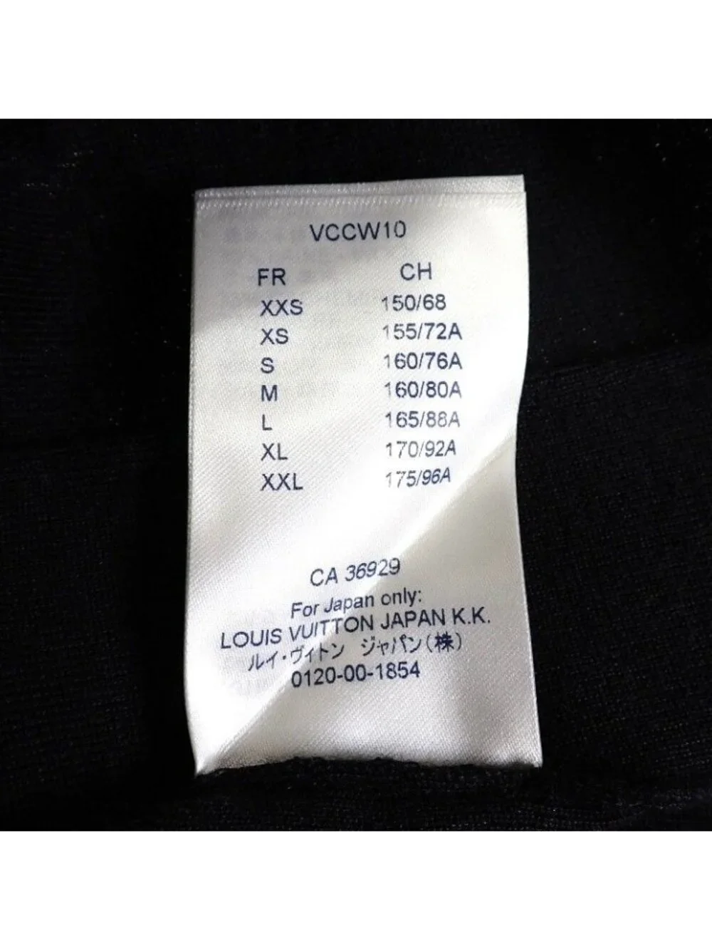 Louis Vuitton brand louis